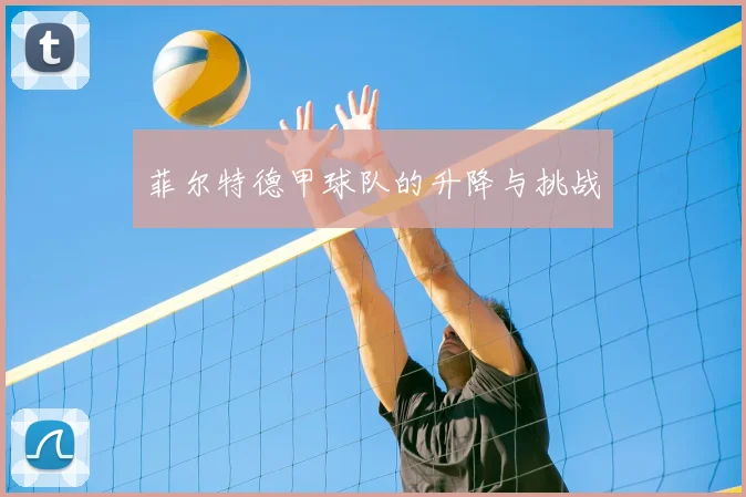 菲尔特德甲球队的升降与挑战