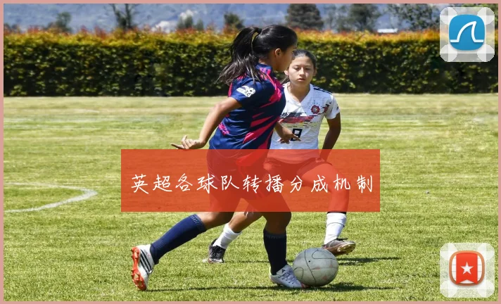 英超各球队转播分成机制