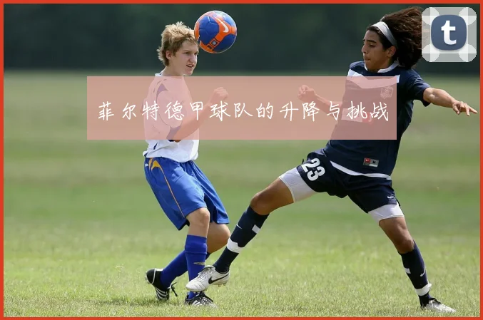菲尔特德甲球队的升降与挑战